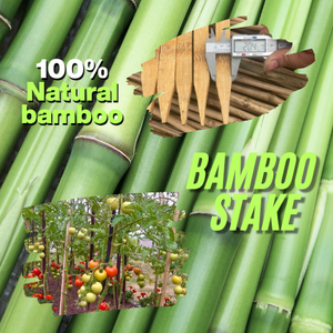 Factory Supply 1m Bamboo Stakes – Smooth, Strong Plant Support Sticks for <b>Garden</b> & Agriculture Use - Product Image 1