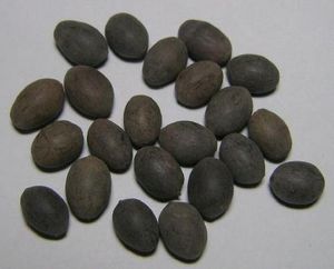 Proveedor confiable ofrece embalaje a granel y precio competitivo para productos agrícolas de semillas de loto secas para compradores globales - Product Image 4