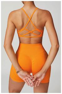 Ensemble de vêtements de sport pour femmes, legging taille haute et soutien-gorge de sport assorti, vêtements de sport actifs - Product Image 5