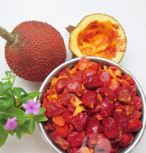 ผลไม้กัคแช่แข็ง คุณภาพสูง 100% สีผสมอาหารจากข้าวเหนียวธรรมชาติ สำหรับข้าวต้มเด็ก น้ำมันกัค บรรจุถุง 1 กก. บรรจุกล่อง 10 กก. เวียดเดลต้า 24 - Product Image 3