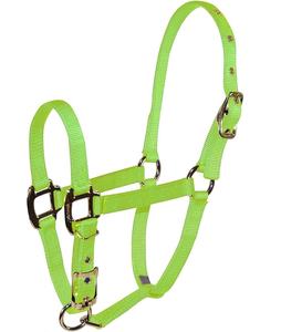 Cabestro de caballo de barbilla ajustable ODM de fábrica, pony, mazorca, morado completo, rojo, naranja. Cabestros de sillín inglés verde, azul marino de India - Product Image 1