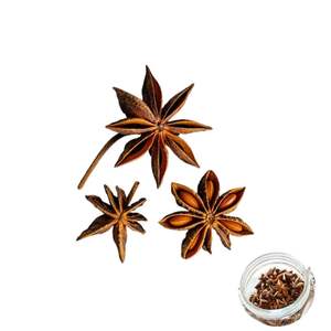 Anís estrellado de Vietnam a precio competitivo, envasado a granel, estándar internacional de fábrica - Product Image 3