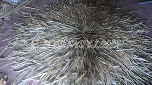 Paneles de Techo de Hoja de Palma Tejida Natural Duraderos, Diseño Tradicional Amarillo/Natural para Bares Tiki y Exteriores - Product Image 3