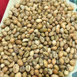 Vietnam Robusta Green Coffee <b>Beans</b> Screen Size 20 Raw Bulk Wholesale Export Quality Supplier Worldwide - Product Image 1