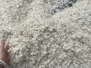 Meilleures ventes en gros 2024 d'écailles de poisson tilapia séchées, 100% pures, avec un prix compétitif et une qualité supérieure sur le marché - Product Image 5