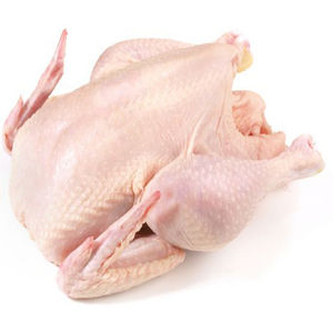 Pechuga de Pollo Halal Congelada Premium, Sin Hueso, Sin Piel, Carne de Aves de Corral Criadas en Granja, Procesamiento Higiénico, Calidad de Exportación Internacional - Product Image 1