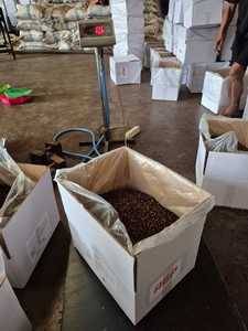 N.º 1 PROVEEDOR DE CLAVOS EN INDONESIA Clavos Enteros Secos Premium de Indonesia, Bolsas de PP de 25 kg, Grado AB, Proceso de Secado AD, Especias y Hierbas Individuales - Product Image 3