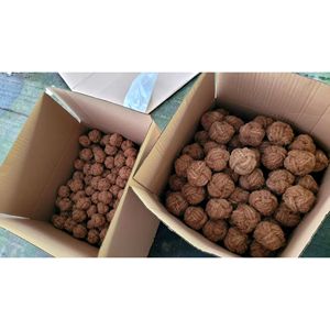 Juguete Ecológico para Perros de Cuerda de Cáscara de Coco Natural, Producto Interactivo para Masticar, Envío Inmediato - Product Image 5