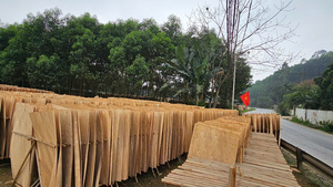 Chapa de Acacia Ecológica y Duradera, Corte Rotatorio, Superficie Lisa, 5-10% de Humedad, Diseño Industrial para Tableros de Madera Contrachapada para Muebles - Product Image 2