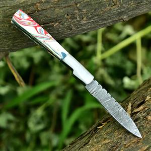 Couteaux pliants à lame en acier inoxydable avec système de verrouillage pour le camping, la randonnée, la pêche et les tâches de découpe quotidiennes fiables. - Product Image 5