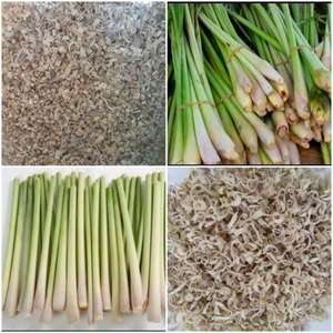 Citronnelle séchée pour l'exportation de tisanes - Product Image 5