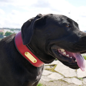Luxury wholesale Leather <b>Braided</b> Dogs pet Collars designed for pet owners seeking premium quality <b>accessories</b> in low price - Product Image 4