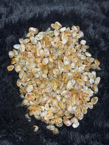 Piedras de Citrino Natural, Pulimentadas, de Alta Calidad y Buena Forma, RAIS AGATE de Gujarat, para el Éxito en la Carrera, la Riqueza y el Vastu - Product Image 2