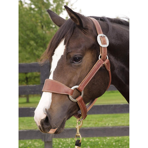 2026 Mejor Cabestro de Cuero Estilo Occidental de Alta Calidad con MOQ Bajo, Cómodo, Moderno, Resistente y Ajustable para Caballos - Product Image 6