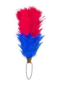 IMADE SPORTS Hackle de plumes de régiment de 10-12 pouces pour bonnet écossais - Matériau en plumes d'autruche - Product Image 5