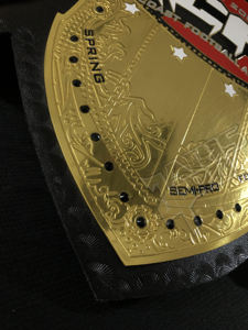 Cinturón de Campeonato para Equipos de Fútbol Americano, Diseño Personalizado con su Logotipo - Product Image 4