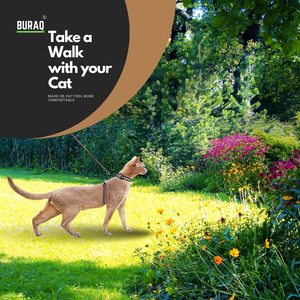 Reflective Cat <b>Harness</b> Body Set OEM ODM Custom Logo Adjustable Cat <b>Harness</b> & Leash Set Direct Manufacturer - Product Image 5