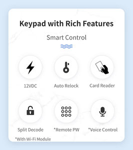 DK-2871 (P1) Clavier de contrôle d'accès intelligent WiFi Tuya 12V DC avec lecteur de carte RFID en plastique pour serrure de porte intelligente – Vente en gros - Product Image 6