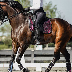 Tapis de selle d'équitation de haute qualité en tissu matelassé en coton, polyvalent pour l'entraînement, le dressage, le travail en écurie et l'équitation en extérieur - Product Image 4