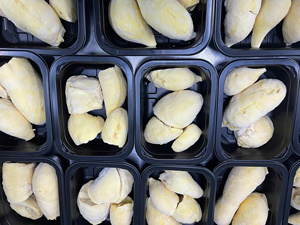 Durian Orgánico Congelado IQF a Granel, Conservado en Salmuera, Ingredientes de Fruta Tropical para Helados, Panadería y Bebidas, Vietnam - Product Image 6