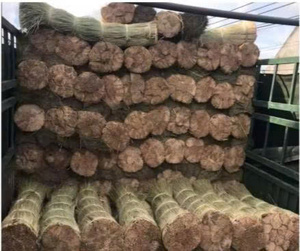 Parasol en feuilles de palmier naturelles de 3m pour jardin et plage, fabriqué au Vietnam, idéal pour les complexes hôteliers, exportation directe du fabricant - Product Image 3