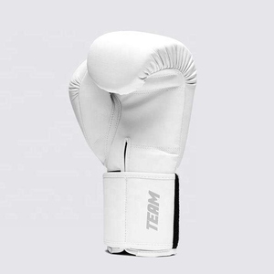 ถุงมือชกมวยสำหรับฝึกซ้อม รุ่น Professional Pro Fighting Fly สีดำขาว หนังวัวแท้ สายรัดข้อมือปรับได้ รุ่น AI-BG-508 - Product Image 2