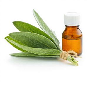 Aceite Esencial de Salvia Sálvia en Granel a Precio de Fábrica, Aceite Esencial de Salvia Sálvia 100% Puro y Natural - Product Image 1