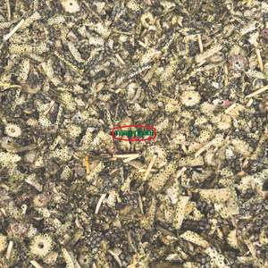 Bagasse de canne à sucre naturelle pour l'alimentation du bétail, 100% biologique, déchets de peau d'ananas, approvisionnement en vrac - Product Image 3