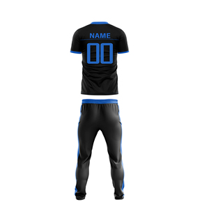 Uniforme de Cricket Personalizado al por Mayor, Conjunto Completo, Jersey y Pantalones para Equipo Corporativo o de Liga, Ropa con Logotipo Bordado Personalizado - Product Image 4
