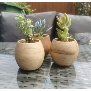 Maceta de Madera Ecológica, Maceta Colgante Rústica, Contenedor Decorativo para Plantas, Macetas de Madera al Mejor Precio - Product Image 5