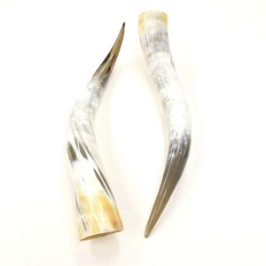 Par de Cuernos de Búfalo Pulidos para Decoración de Pared, Diseño Art Deco, Grandes de 27 a 35 Pulgadas, para Bodas, Cumpleaños, Aniversarios - Product Image 2