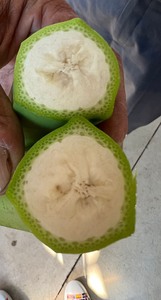 Vente en gros de bananes Cavendish 100% fraîches, qualité supérieure, couleur verte, paquet de 13 kg, export standard du Vietnam, fournisseur au meilleur prix - Product Image 5