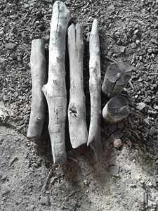 Carbón Blanco Binchotan MAITIEW para Exportación, Mejor Precio, Larga Duración, Ideal para Barbacoa, Listo para Cargar desde Fábrica, Empresa BIWOOD - Product Image 6