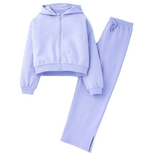 Ensemble de survêtement gris clair à capuche pour femme, manches longues, couleur unie, décontracté, respirant, pantalon en coton avec poches latérales et fermeture éclair - Product Image 3