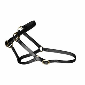 Harnais pour chevaux en cuir véritable de haute qualité, tailles et couleurs personnalisées, boucle en laiton réglable - Product Image 6
