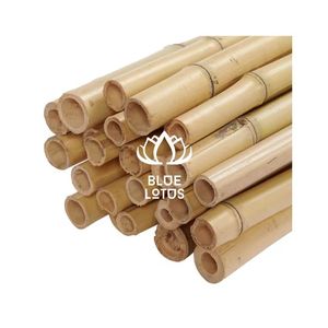 Poteau en bambou écologique, très demandé |   Piquets en bambou naturel durable pour la décoration des fermes - Product Image 1
