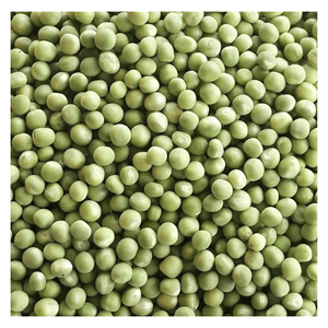 Petits pois surgelés IQF préparés à partir de petits pois verts frais pour recettes de sautés, soupes et plats à base de légumes, origine Vietnam - Product Image 4