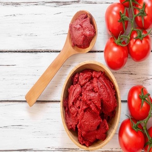 Pasta de Tomate Enlatada a Granel Lista para el Mercado en Envases Tipo Sachet de Francia con 24 Meses de Vida Útil para Ketchup - Product Image 1
