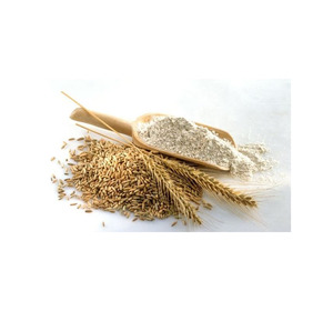 Approvisionnement en gros de qualité supérieure, Gluten de blé vital de qualité alimentaire, Stock disponible, Service OEM, Exportation - Product Image 5