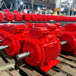 Moteur électrique triphasé AC en fonte OEM de qualité supérieure, IP55 IP56, noyau en cuivre, résistant à la chaleur, classe C - Product Image 4