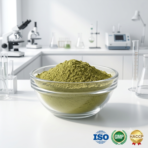 <b>Best</b> Quality Henna Powder Premium Herbal Bulk Manufacturer Wholesale Exporter Supplier India - Product Image 4