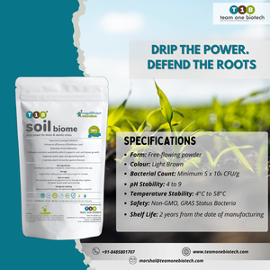 Fertilizante biológico para la mejora de la fertilidad del suelo en la agricultura para la producción de cultivos - Product Image 4