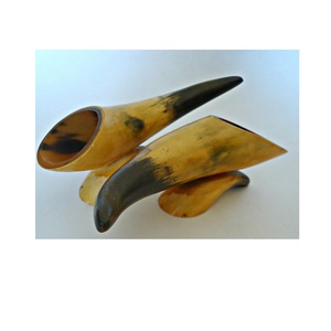 Buffalo Decorative Long Horn Natural Black Polished Ox Cow Horn 30cm for <b>Door</b> Black Decor Use - Product Image 3