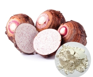 Poudre de taro déshydratée pure et naturelle, agent aromatisant pour l'industrie alimentaire - Product Image 2