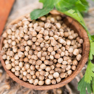 Graines de coriandre séchées naturelles pures Hew Harvest à faible MOQ pour l'assaisonnement alimentaire et la cuisine - Product Image 2