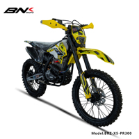 BRZ New 300cc Single Cylinder Zongshen Engine Dirt Bike off Road Motorcycle with Electric/Kick Start Enduro Moto Cross