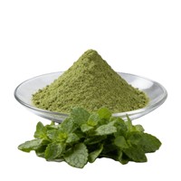 Poudre de menthe 100 % naturelle de qualité export, pure, de qualité cosmétique, pour une sensation rafraîchissante et apaisante sur la peau