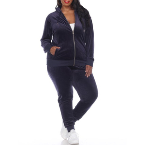 Women Solid Polyester <b>Velour</b> 2-Piece <b>Tracksuit</b> Set Zip-Up Hoodie and Long Jogger Pants Full-Zip Casual Wear - Product Image 2