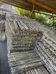 Postes de soporte de construcción de bambú natural Material multiuso Postes de bambú rectos de Vietnam Textura dura para construcción - Product Image 4