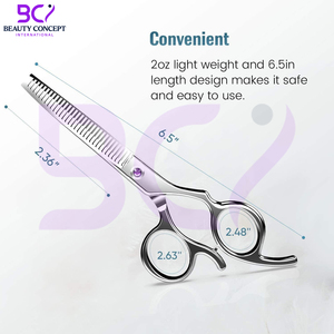 Ciseaux à effiler professionnels de 6,0 pouces à prix raisonnable, en acier inoxydable, pour salon de coiffure, équipement et outils - Product Image 5